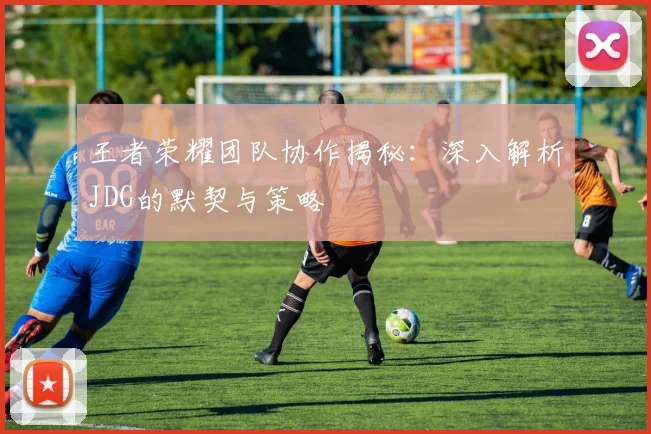 王者荣耀团队协作揭秘：深入解析JDG的默契与策略