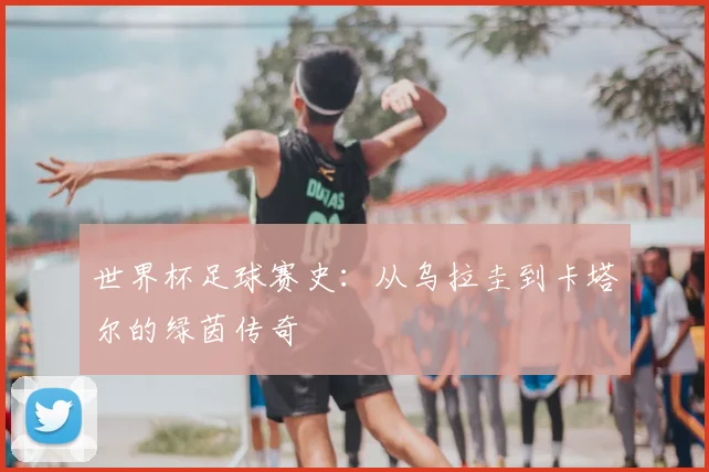 世界杯足球赛史:从乌拉圭到卡塔尔的绿茵传奇