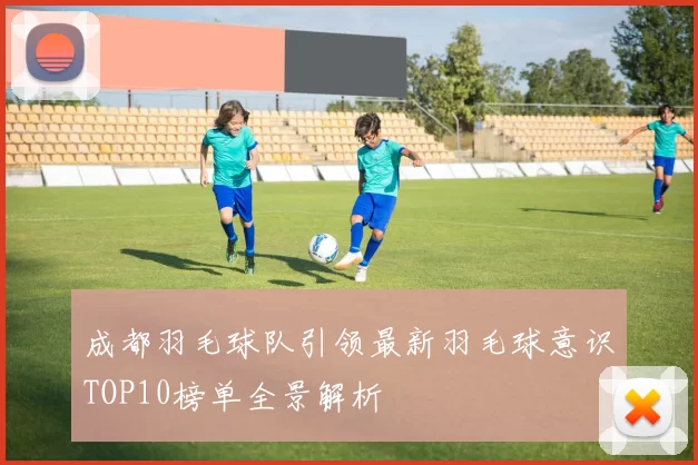 成都羽毛球队引领最新羽毛球意识TOP10榜单全景解析