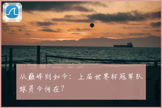 从巅峰到如今:上届世界杯冠军队球员今何在?