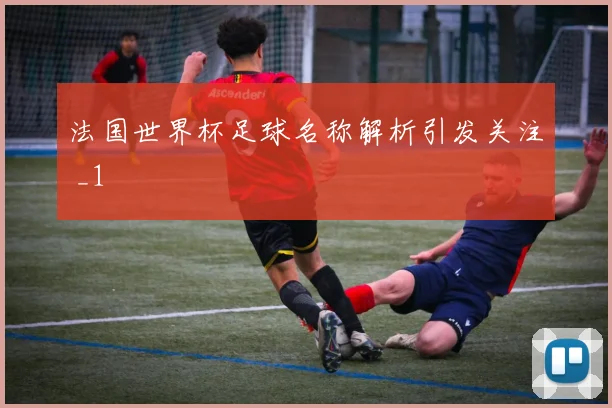 法国世界杯足球名称解析引发关注 _1