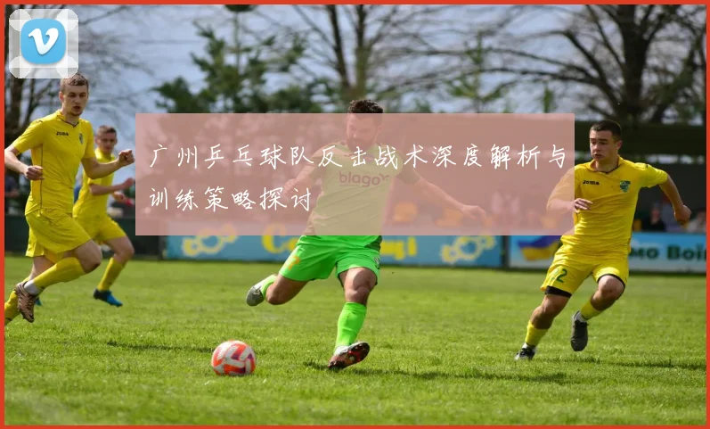广州乒乓球队反击战术深度解析与训练策略探讨