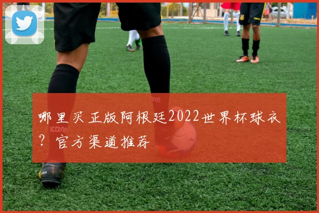 哪里买正版阿根廷2022世界杯球衣?官方渠道推荐