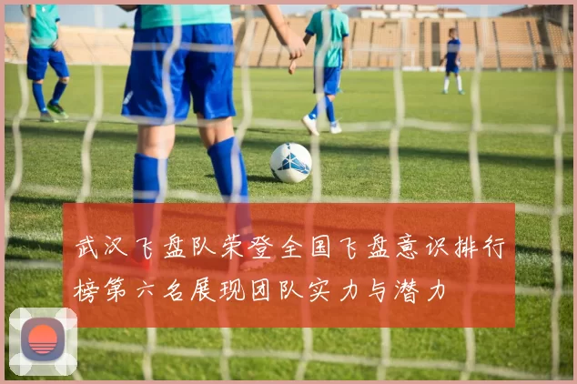 武汉飞盘队荣登全国飞盘意识排行榜第六名展现团队实力与潜力