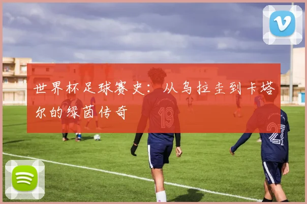 世界杯足球赛史:从乌拉圭到卡塔尔的绿茵传奇