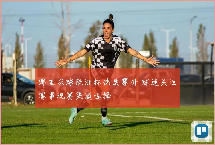 哪里买球欧洲杯热度攀升 球迷关注赛事观赛渠道选择