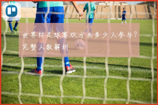 世界杯足球赛双方共多少人参与？完整人数解析