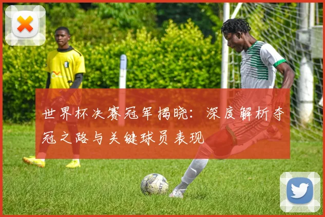 世界杯决赛冠军揭晓:深度解析夺冠之路与关键球员表现