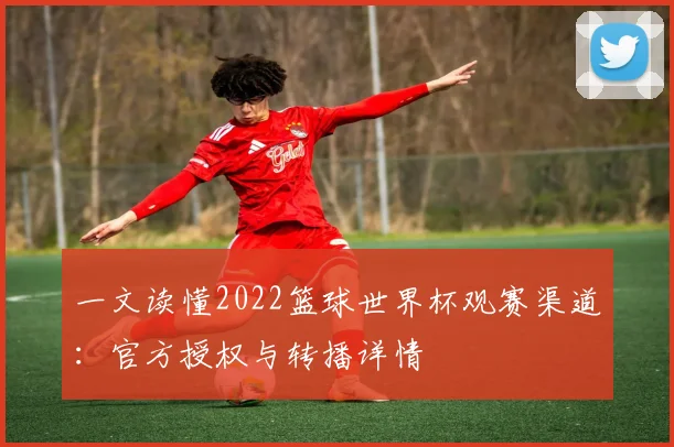 一文读懂2022篮球世界杯观赛渠道:官方授权与转播详情
