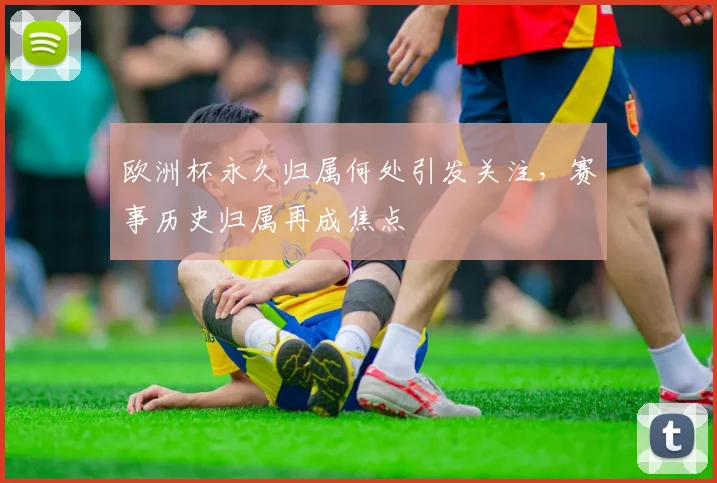 欧洲杯永久归属何处引发关注,赛事历史归属再成焦点