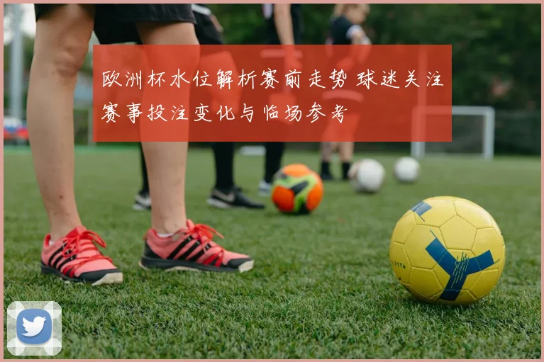 欧洲杯水位解析赛前走势 球迷关注赛事投注变化与临场参考